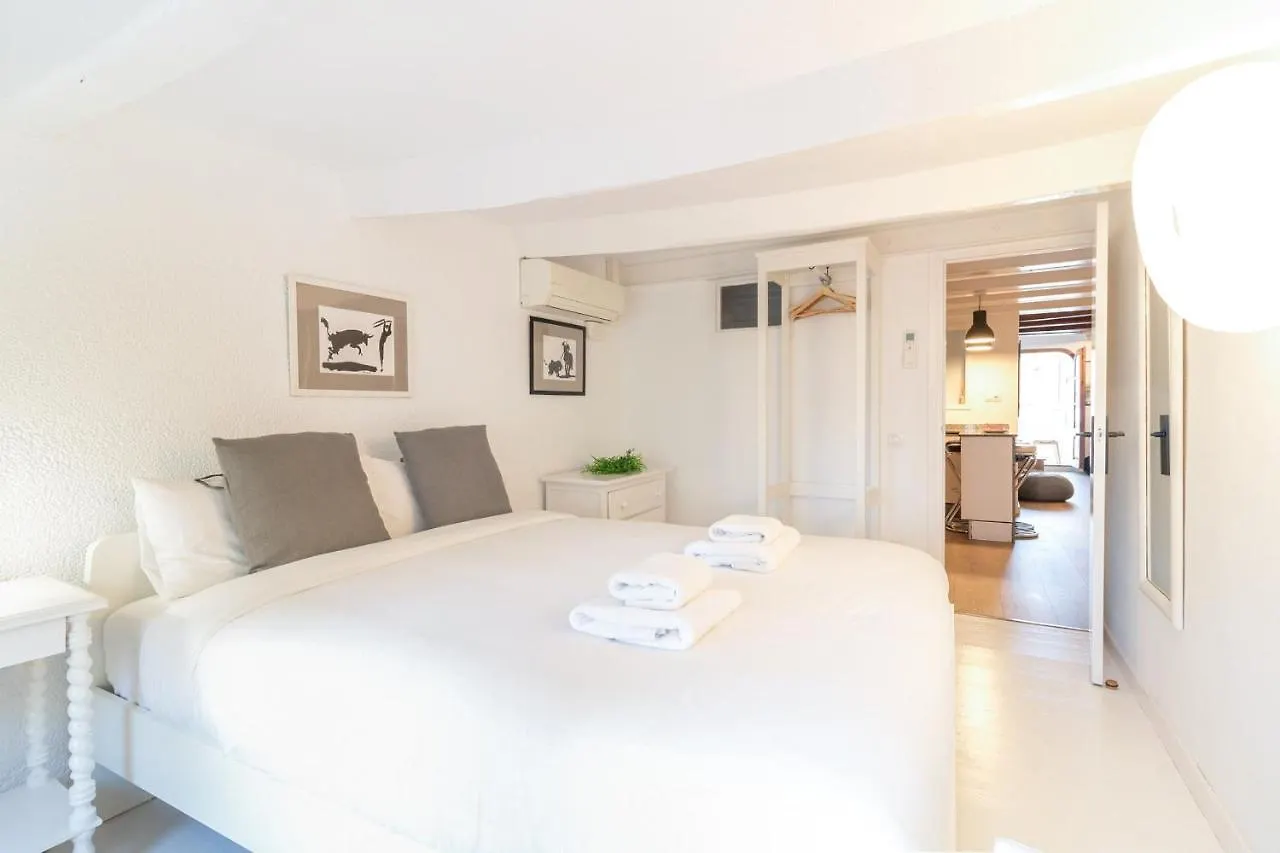 Precioso Apartamento En Mercat Sant Antoni Барселона Апартаменты